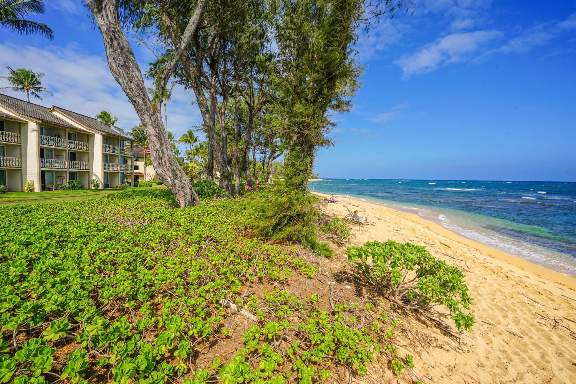 Islander On The Beach Kapa'a Zimmer foto